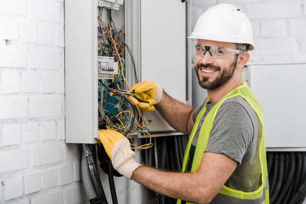 Best Home Electrical Repair  in Paw Paw, MI