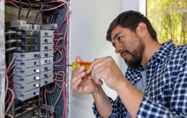 Best Electric Panel Repair  in Paw Paw, MI